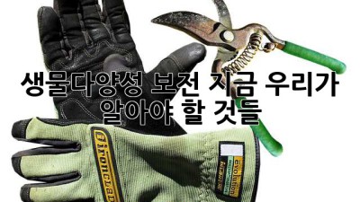 생물다양성 보전: 지금 우리가 알아야 할 것들